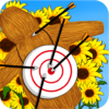 Archery and Archer icon