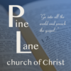 Pine Lane icon