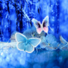 Abstract Butterflies Wallpaper icon