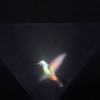 Vyomy 3D Hologram Hummingbird icon