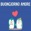 Buongiorno Amore Mio icon