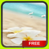 Beach Ocean Butterflies icon