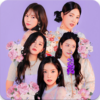 Red Velvet Wallpapers HD All Member icon