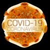 Covid19Map icon