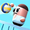 Head Volleyball Champion icon