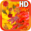 Autumn Leaves HD Free icon