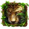 Leopard in Forest Live Wallpaper icon