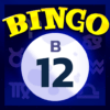 Video Bingo Malibu icon