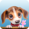 Pet Island – Build Breed Grow icon