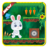 Rabbit Bunny runningAdventure icon