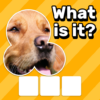 Zoom Quiz: Close Up Pics Game icon