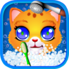 Cat Pet Wash icon