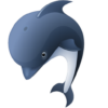 Amazing Dolphin Facts icon