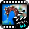 Best Sea Animals icon