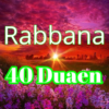 Rabbana Masnoon Dua: 40 Dua with mp3 Audio icon