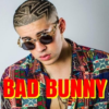 Bad BunnyMusic Listen Offline icon