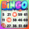 Bingo Offline Bingo Game icon