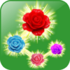 Rose Paradise matching games icon