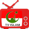 TV Islam Indonesia TV Dakwah dan Kajian Islam icon