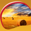 Golden Sunset Live Wallpapers icon