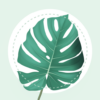 PlantMe Plant identification icon