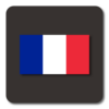 Lightning Launcher Français icon