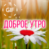 Russian Good Morning Good Day Gifs Images icon