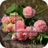 Puzzle Flowers icon