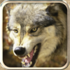 Ultimate Wolf Rampage 3d Wolf Revenge Sim icon