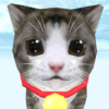 Cat Simulator icon