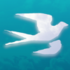 BirdingApp icon