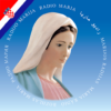 Radio Marija Hrvatska icon