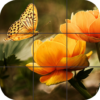 Butterfly Jigsaw Puzzles icon