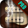 Bass Guitar Funk PRO icon