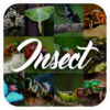 Insect Encyclopedia icon