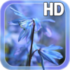 Blue Flower Live Wallpaper icon