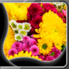 Flowers Live Wallpapers icon