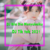 DJ Bila Dia Menyukaiku Kukira dia Menyukaiku icon