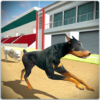 Dog Training Jump & Stunt Sim icon