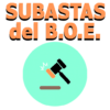 Subastas del B.O.E. icon