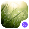 LushAPUS Launcher theme icon