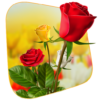 360 Flower live wallpaper 3D icon