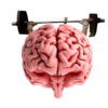 IQ Test Brain Training icon