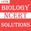 Class 12 Biology NCERT Solns icon