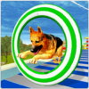 Crazy Dog Jump Stunt Sim 3D icon