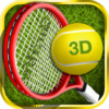 Tennis Champion 3D Online Sp icon