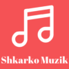 Muzik Shqip pa internet icon