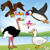 Birds Game for Toddlers Puzzle icon