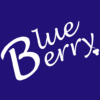 Blue Berry Investment Advisors icon