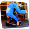 Brazilian Jiujitsu icon